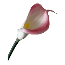 artificial calla lily stems for florists